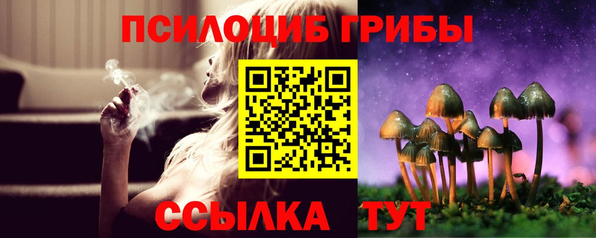 Галлюциногенные грибы Magic Shrooms Борзя